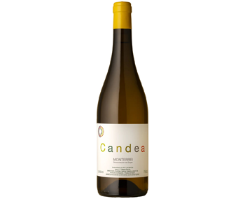 Spanish White